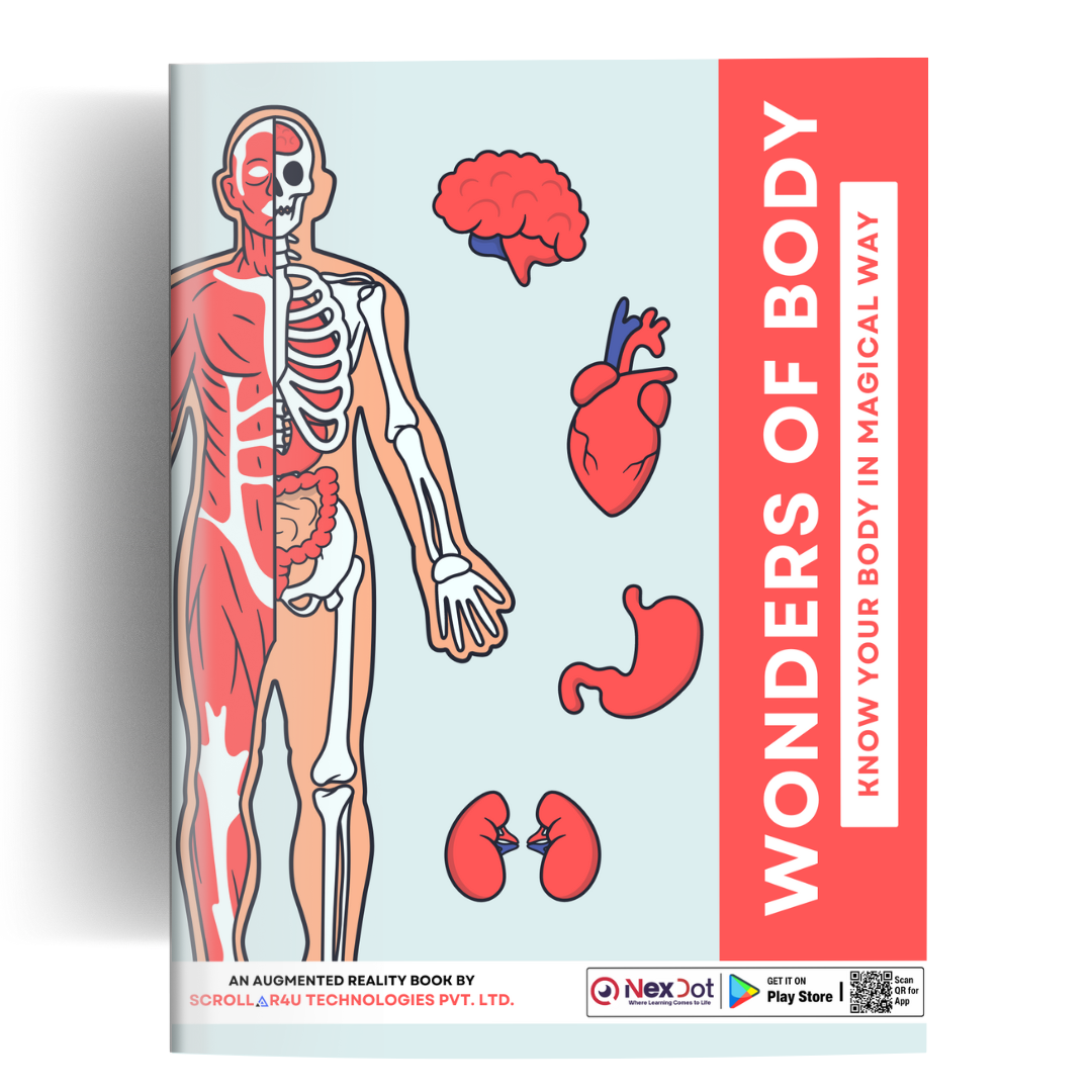 Wonders of Body